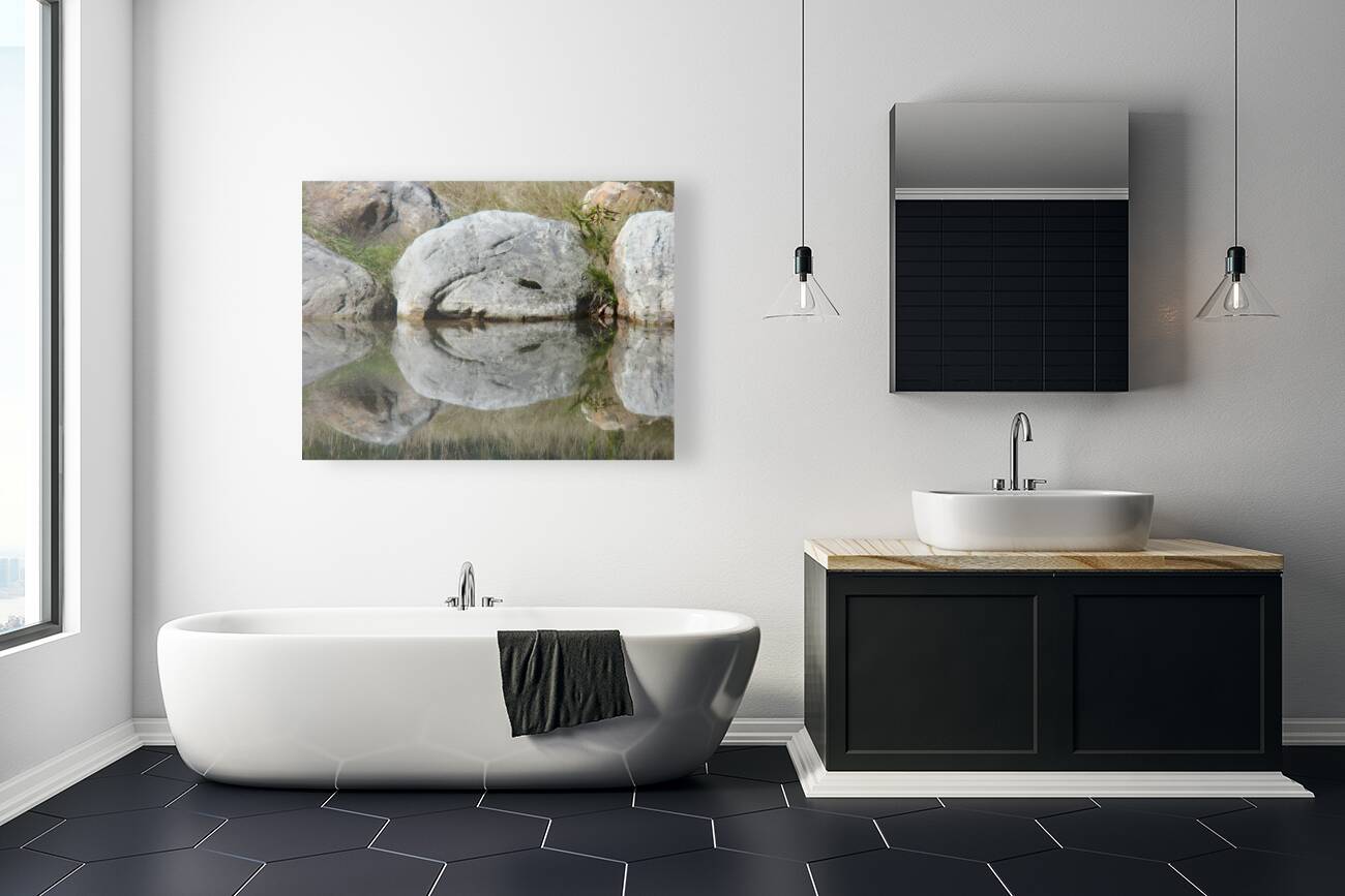 Rock Smile Reproduction