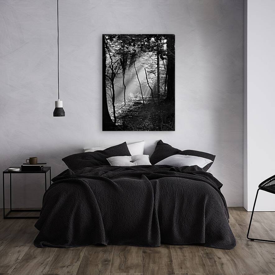 Morning Sunlight Reproduction