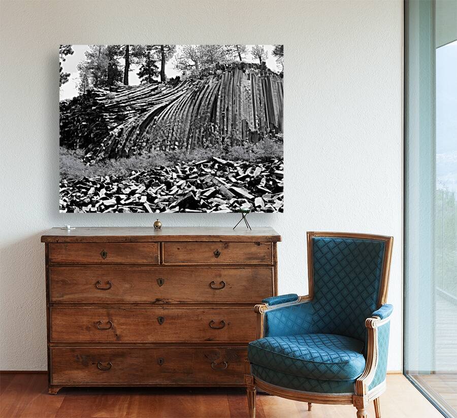 Devils Postpile National Monument Reproduction