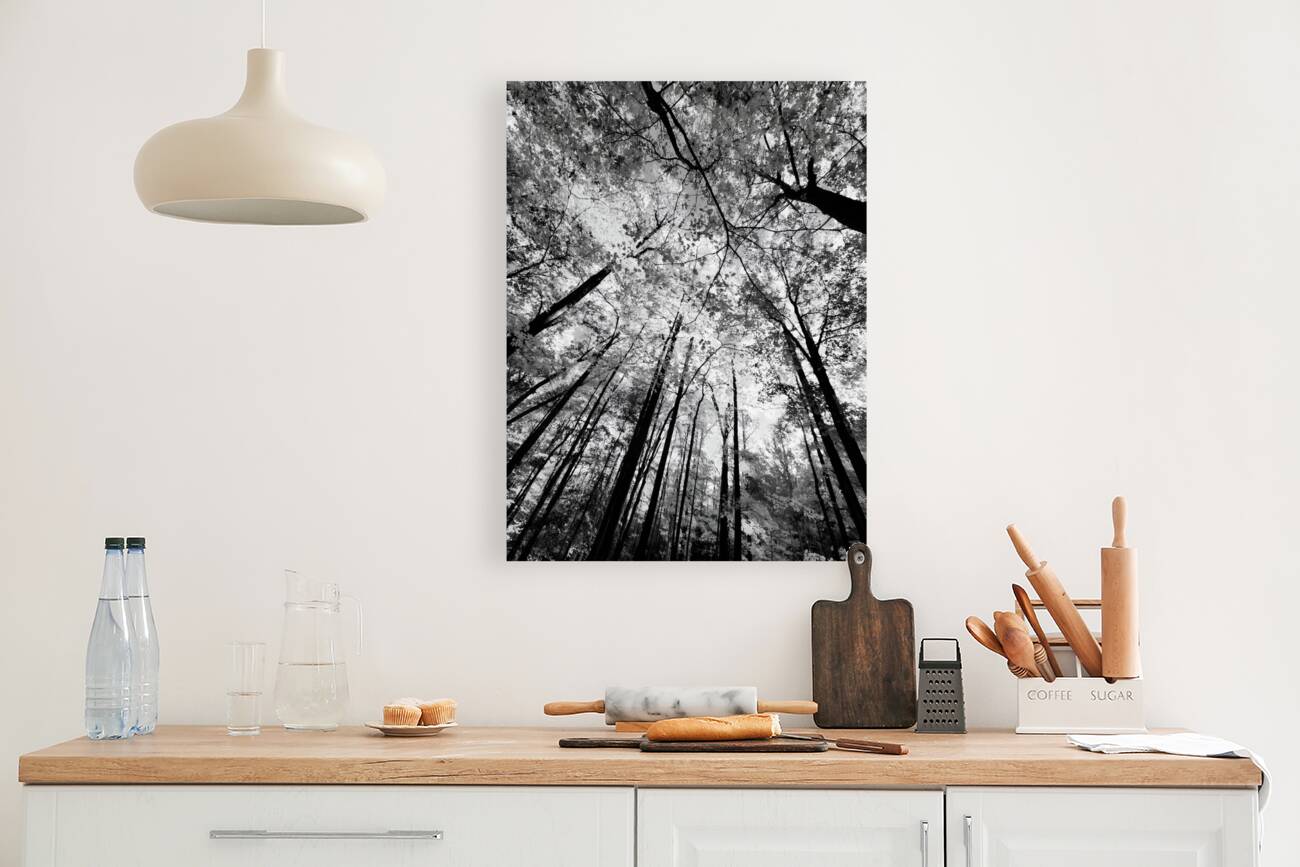 Forest Canopy Reproduction