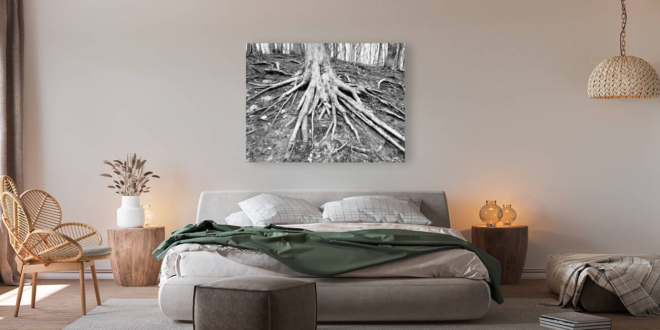 Root Flare Reproduction