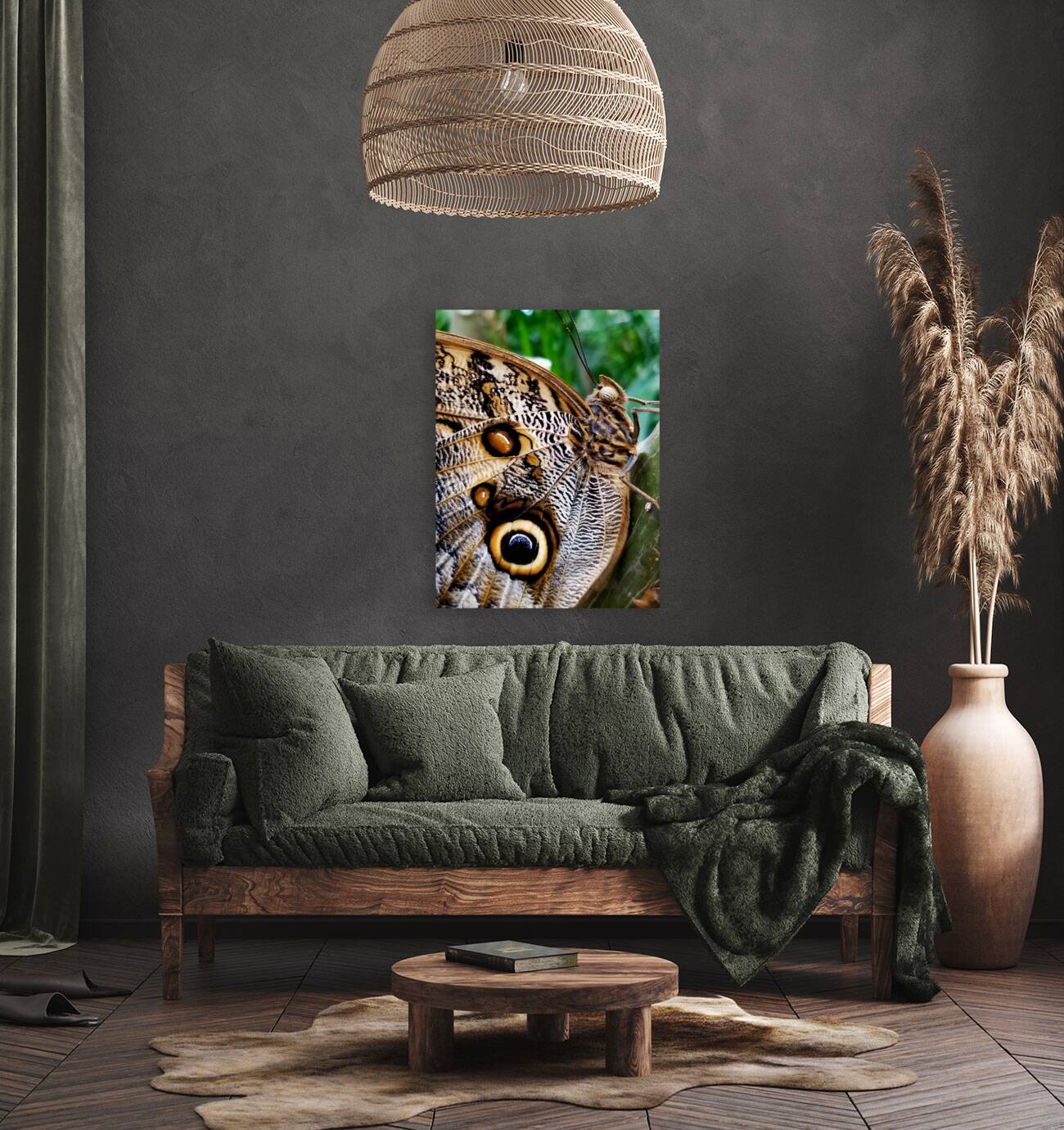 Owl Butterfly Reproduction