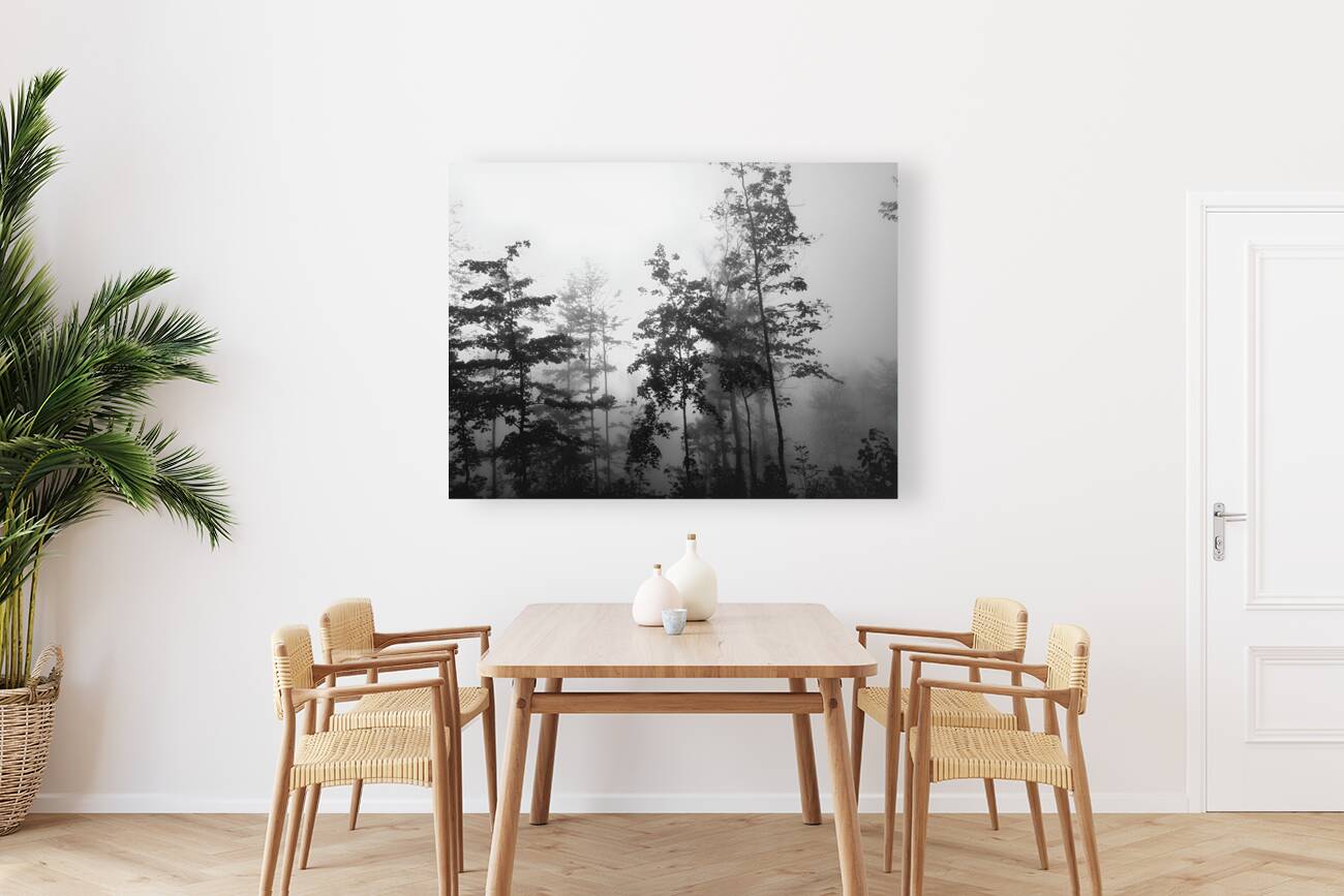 Misty Morning Reproduction