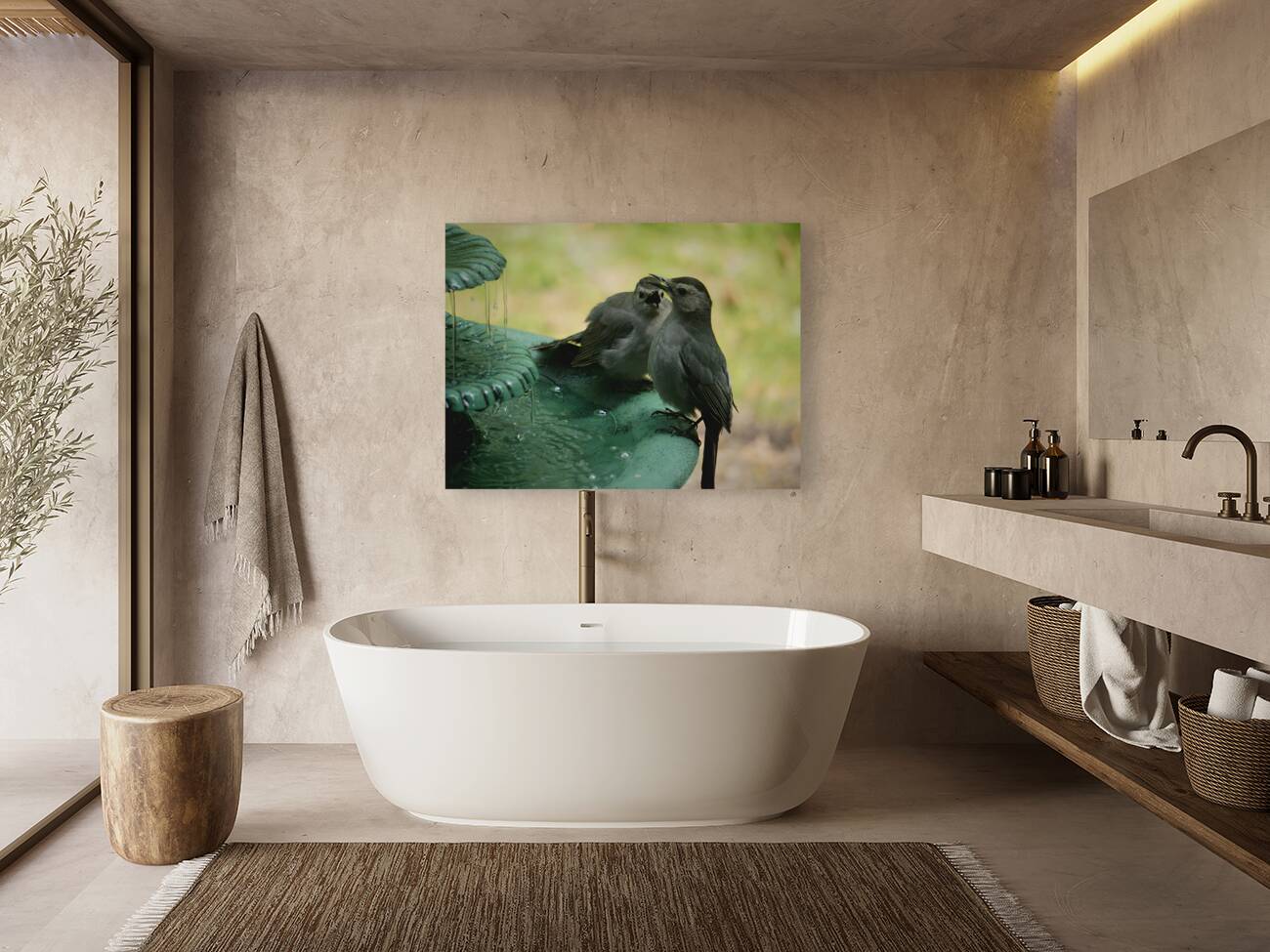 Catbird Scolding Reproduction