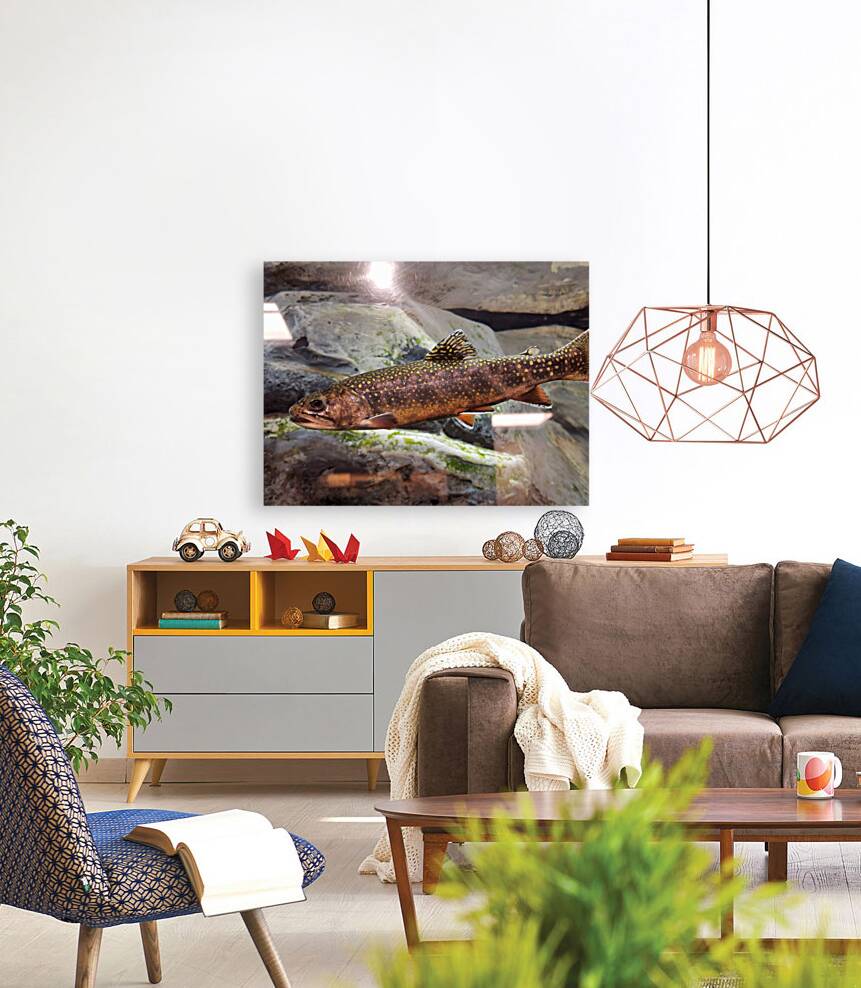 Brook Trout Reproduction