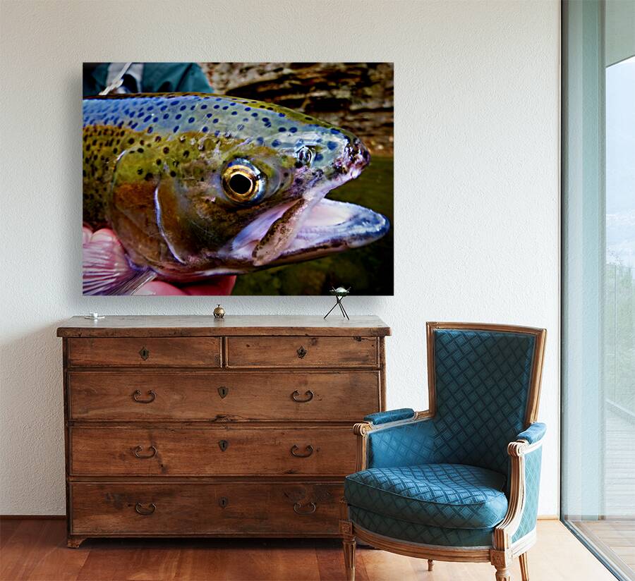 Steelhead Closeup Reproduction