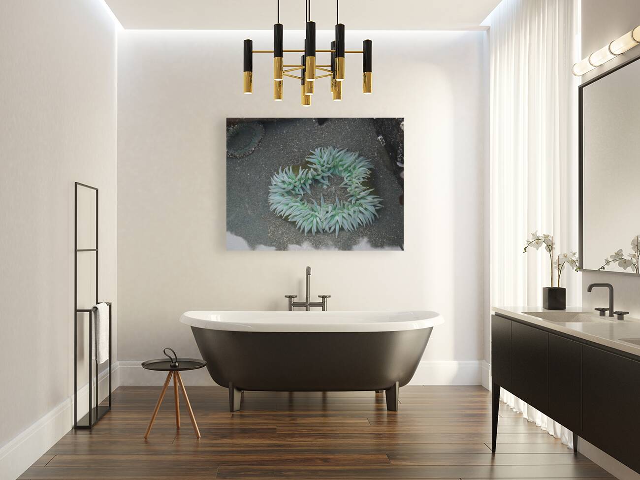 Sea Anemone Reproduction