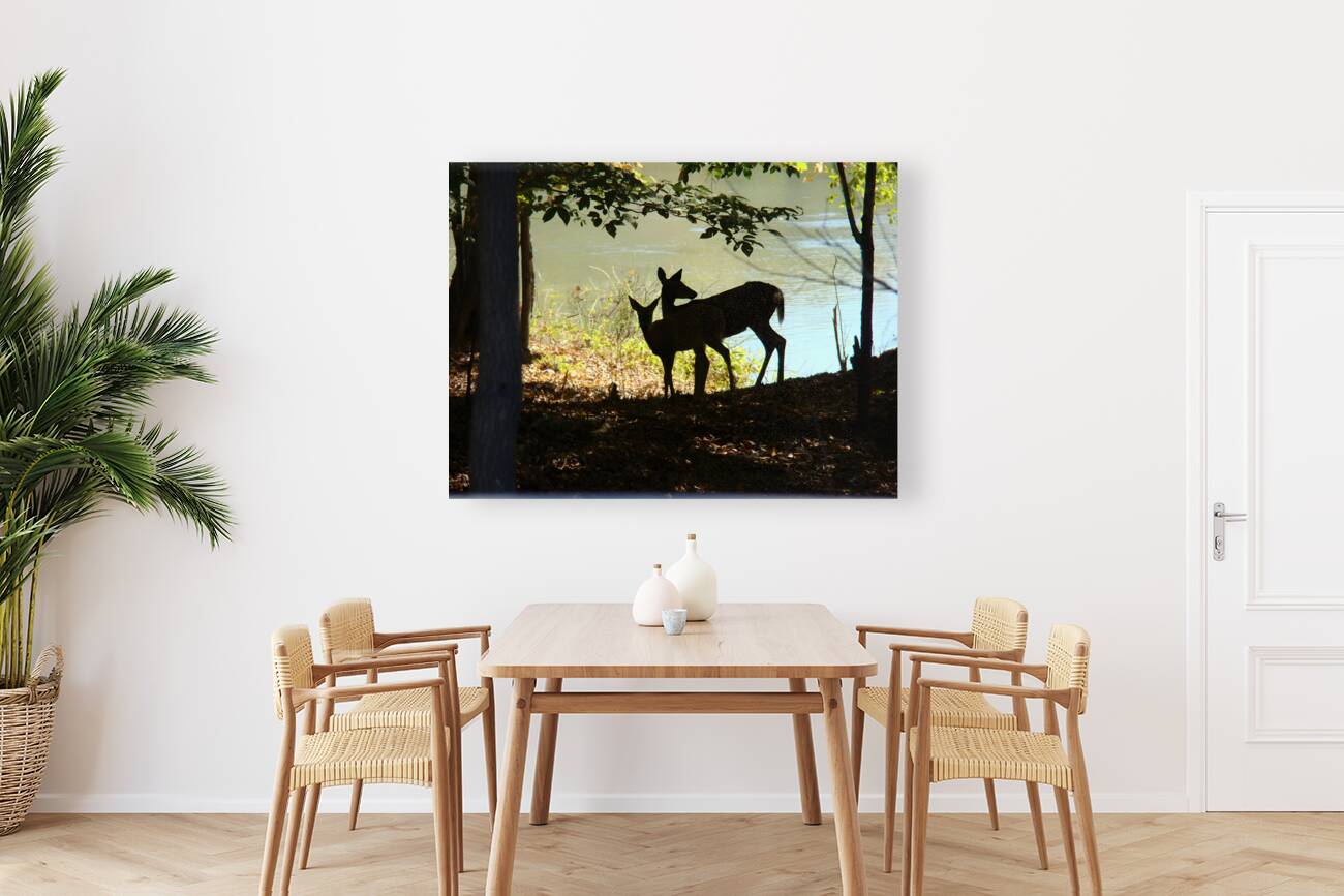 Lake Deer Reproduction