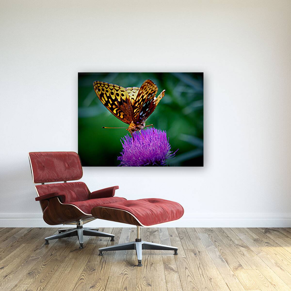 Butterfly On Thistle Reproduction