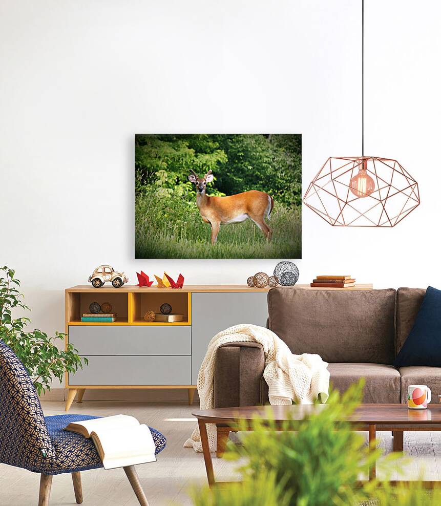 Velvet Buck Reproduction