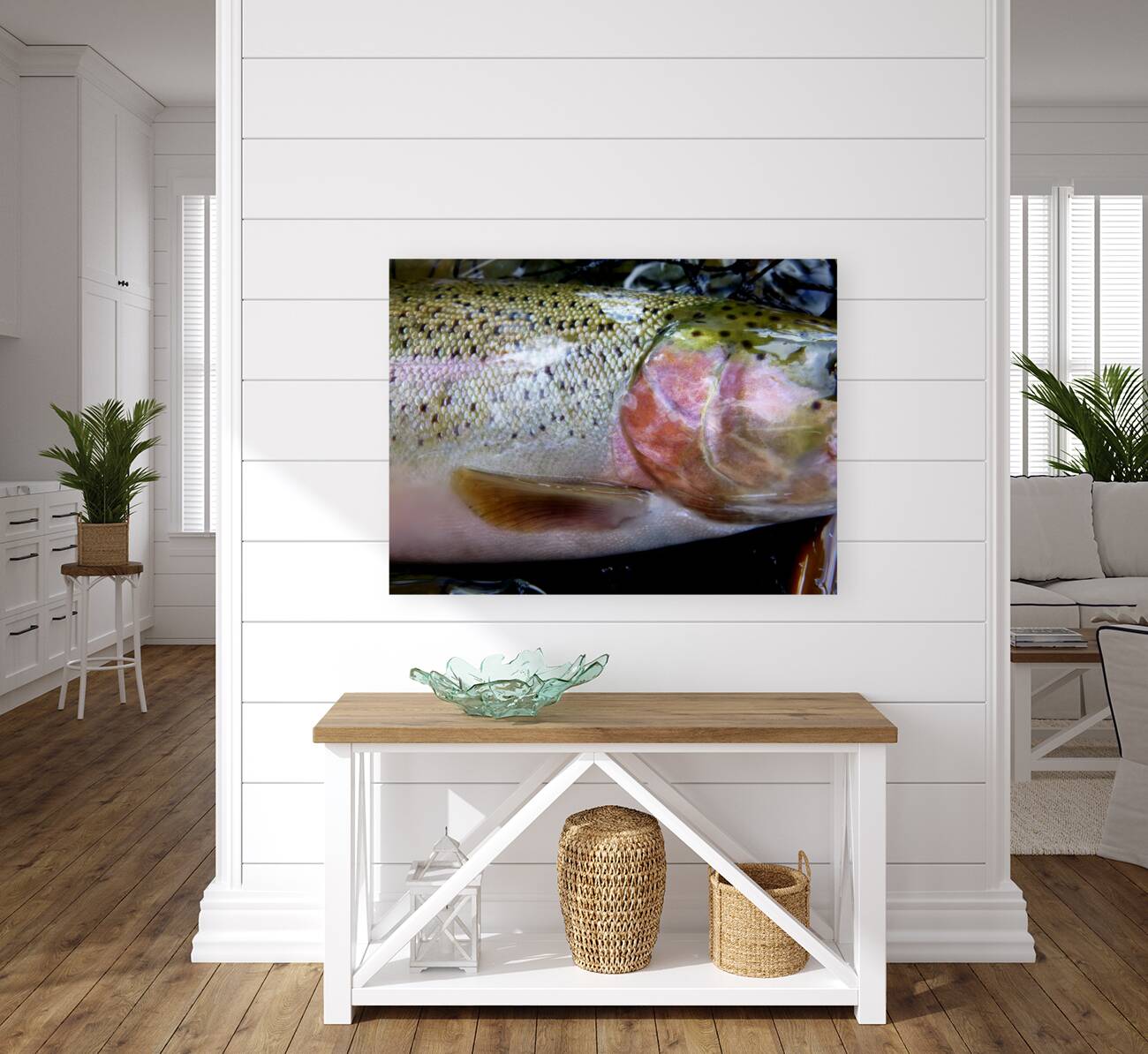 Trout Operculum Reproduction