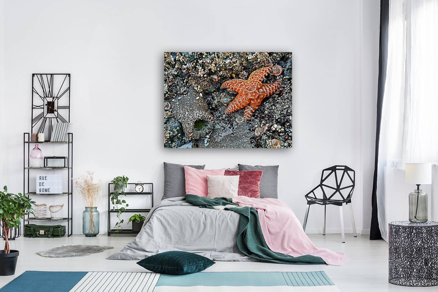 Tidal Pool 1 Reproduction