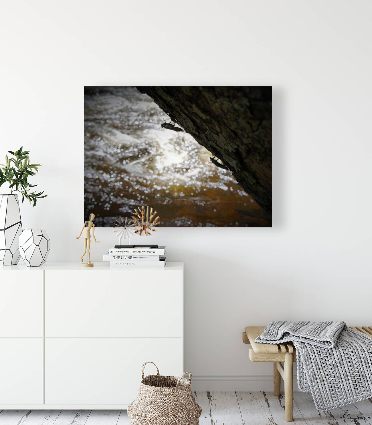 Stonefly Shucks Reproduction