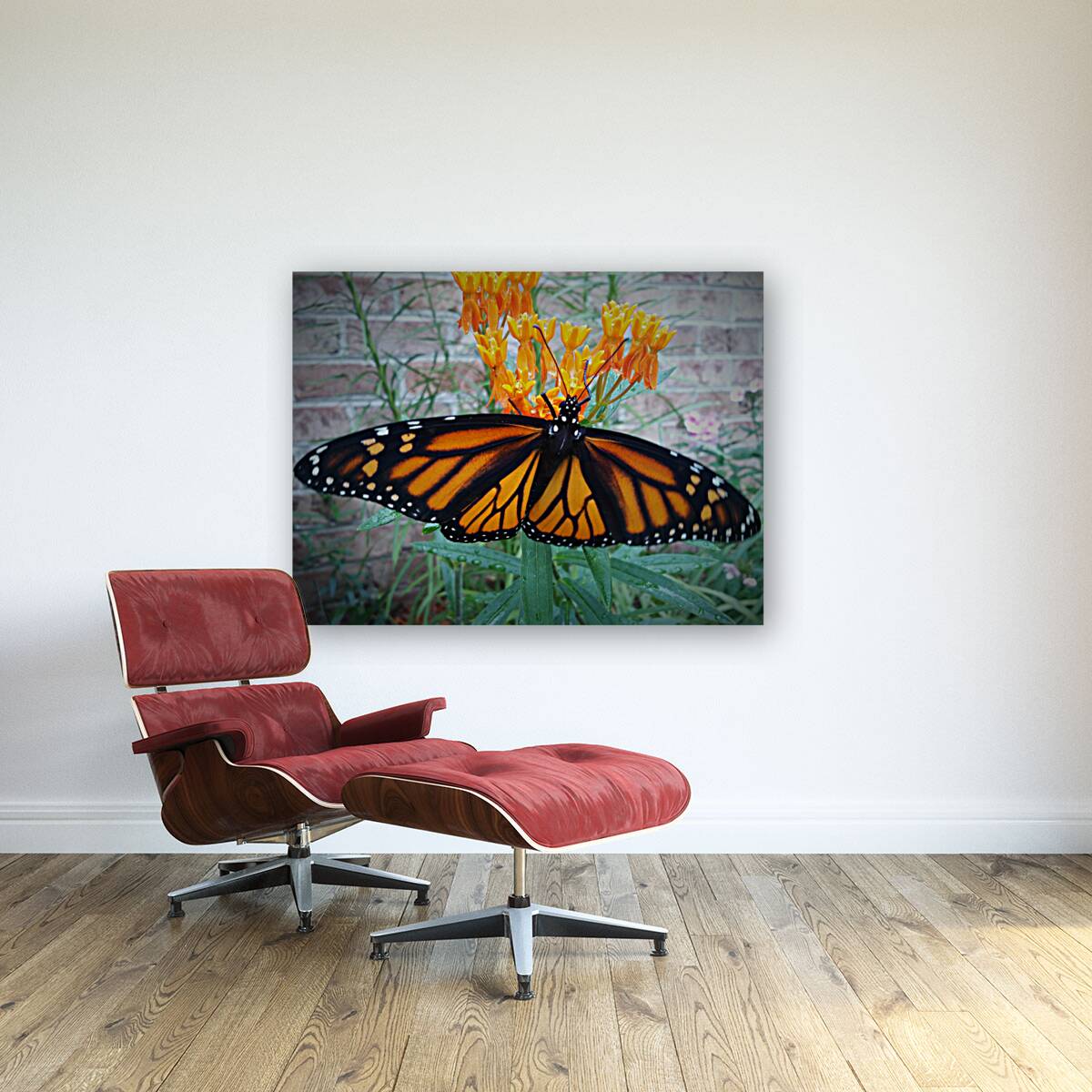 Monarch Female Reproduction