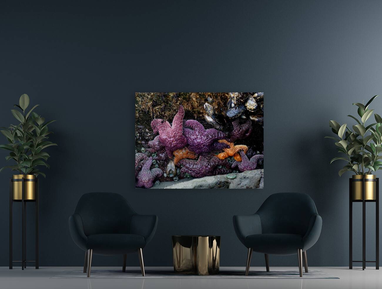 Tidal Pool 7 Reproduction