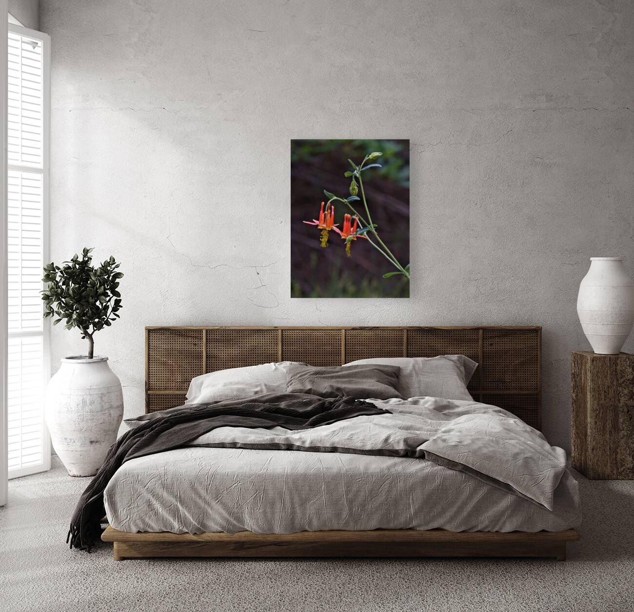 Columbine Reproduction