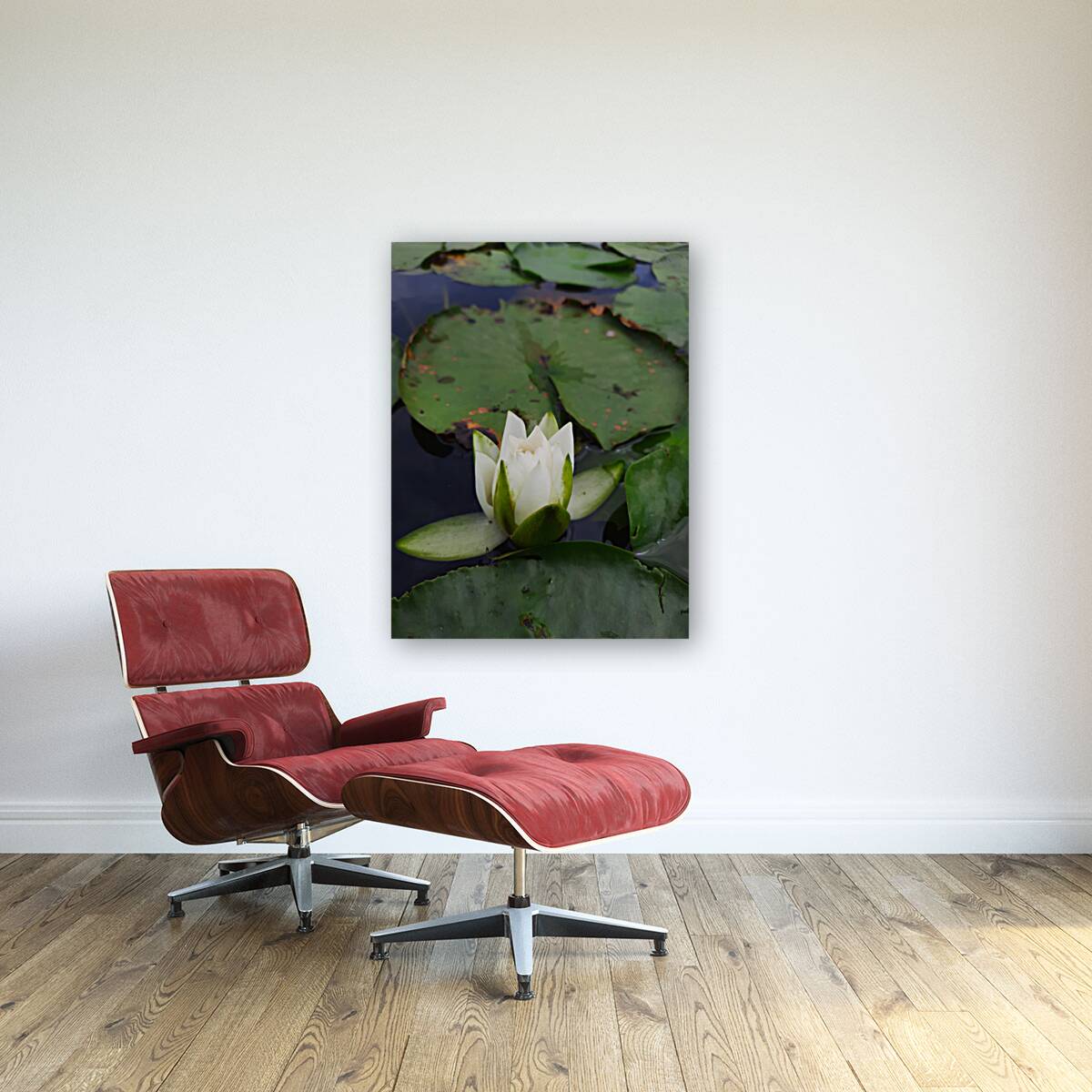 Water Lily Reproduction