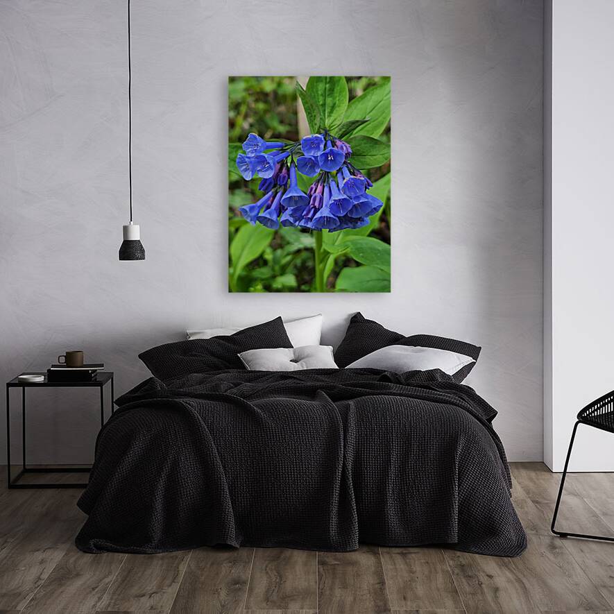 Virginia Bluebells Reproduction