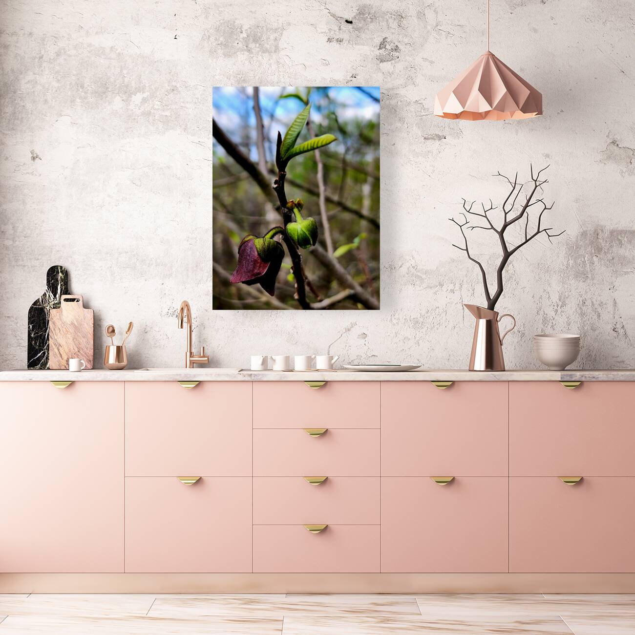 Paw Paw Flower Reproduction