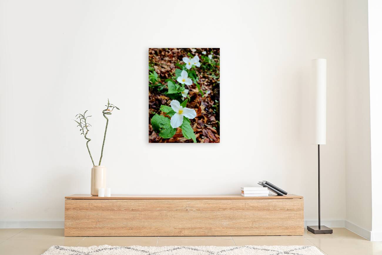 White Trillium Column Reproduction