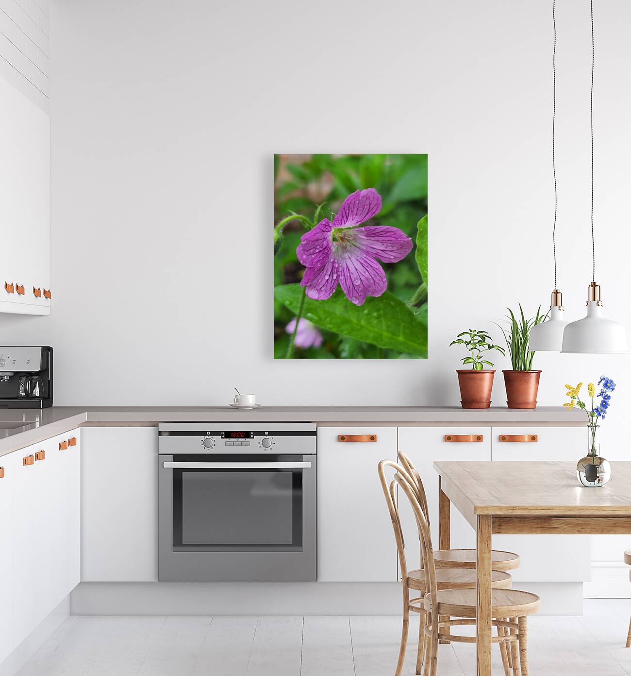 Wild Geranium Reproduction