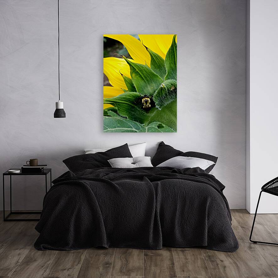 Sunflower Bumblebee Reproduction