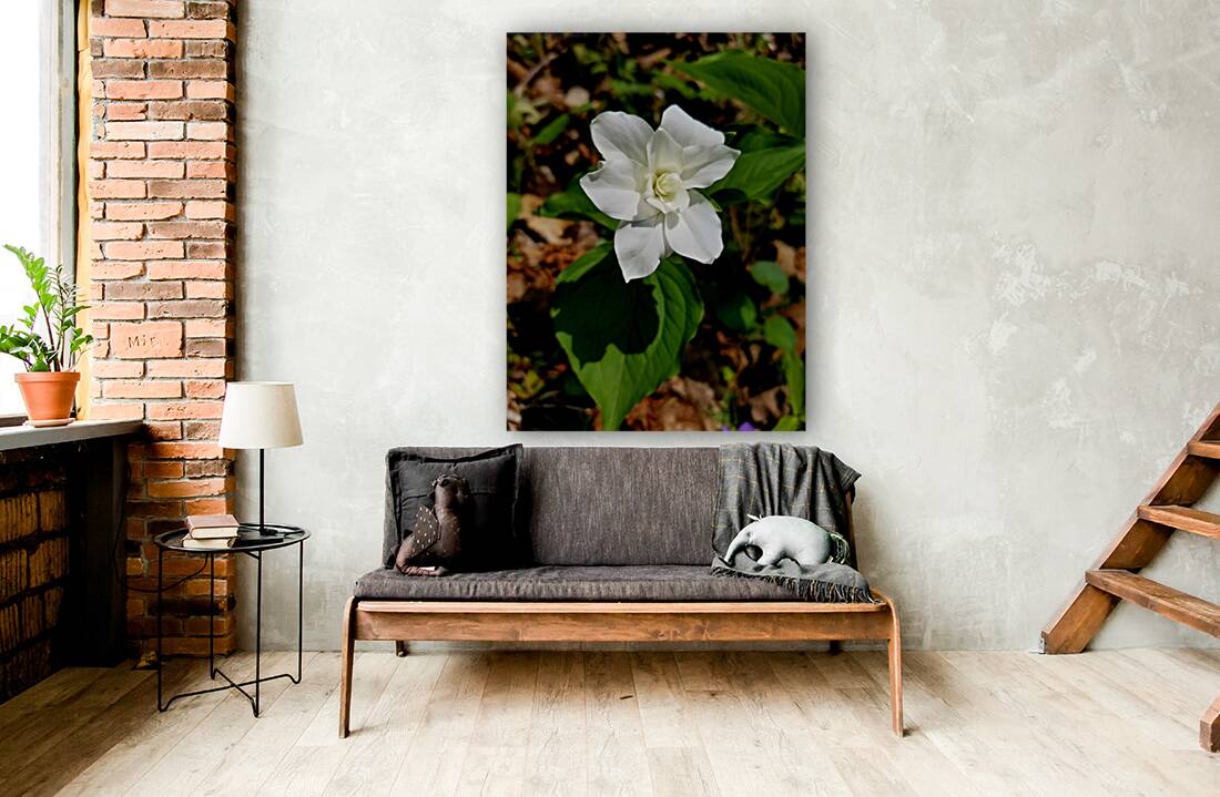 Double White Trillium Reproduction