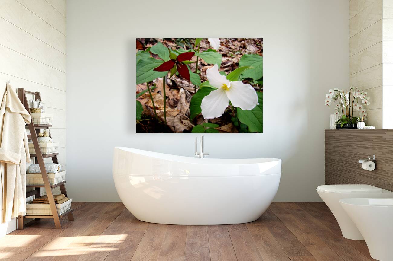 Trillium Reproduction