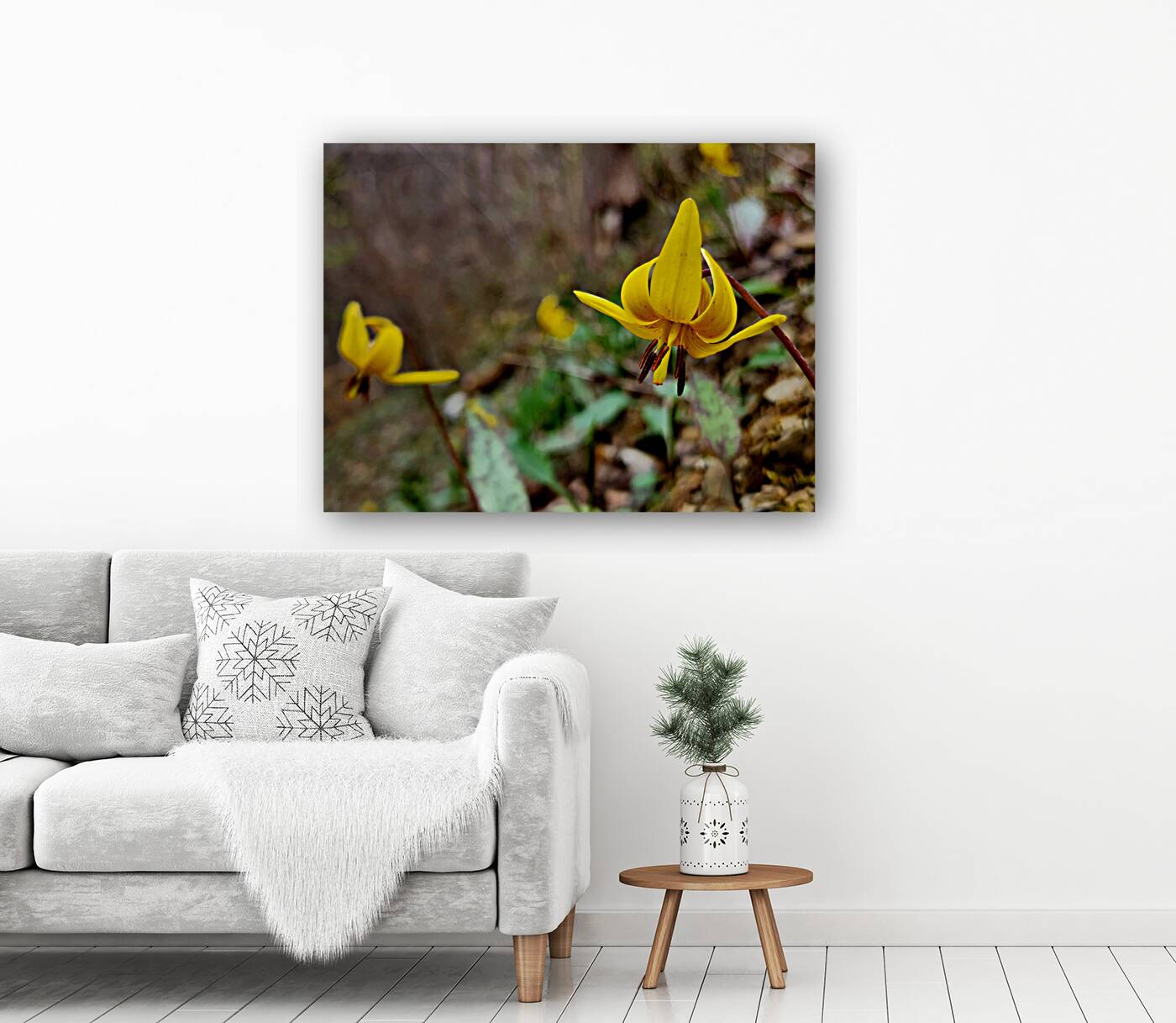 Trout Lilies Reproduction