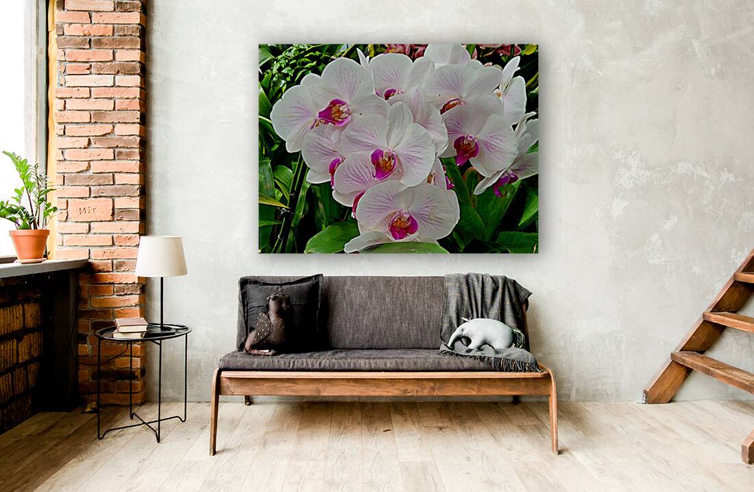 Orchid Cluster Reproduction