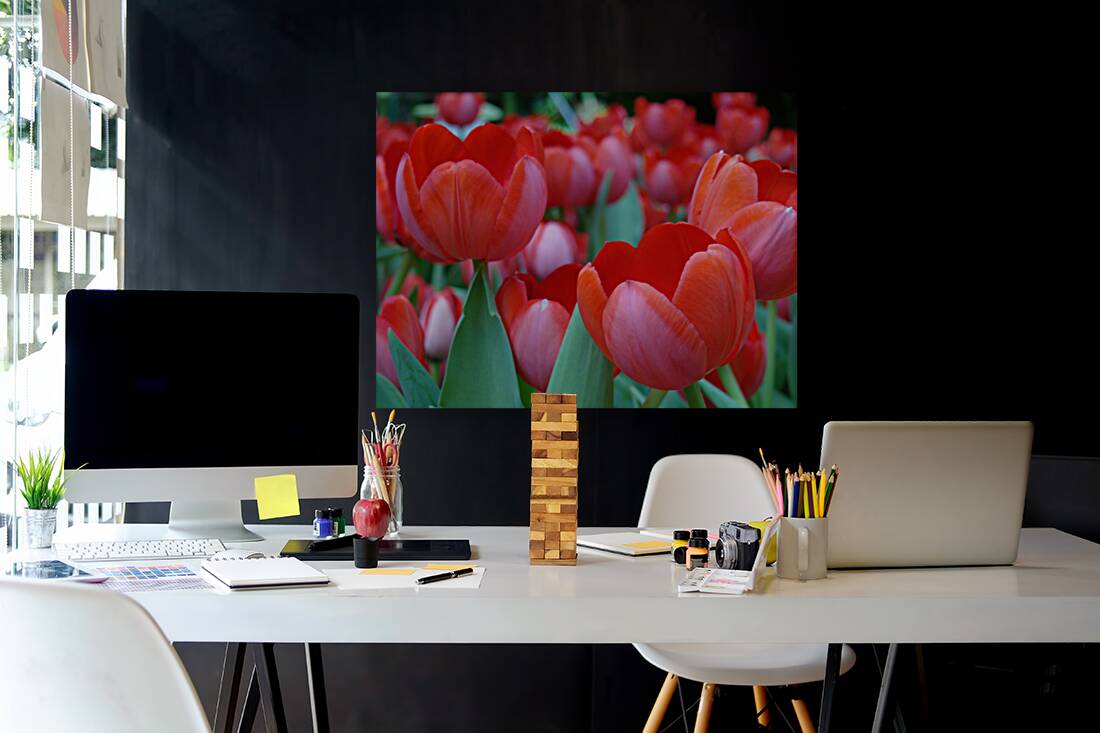 Red Tulips Reproduction