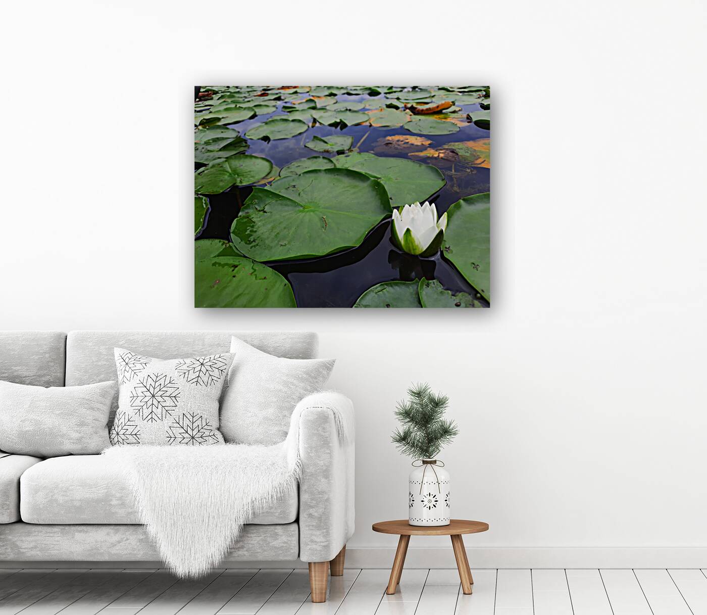 Water Lily 2 Reproduction