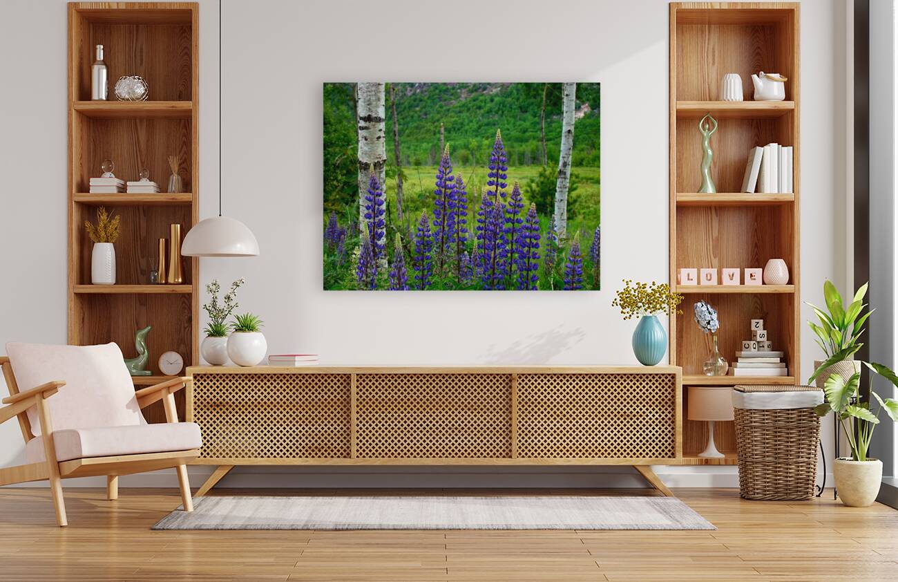 Maine Lupines Reproduction