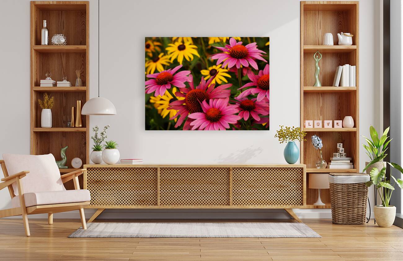 Echinacea And Rudbeckia Reproduction