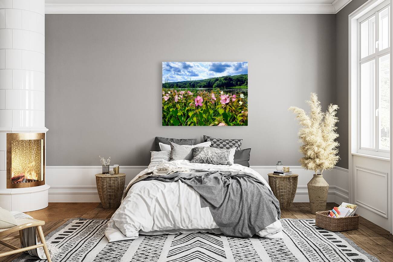 Swamp Mallow At Moraine State Park Reproduction