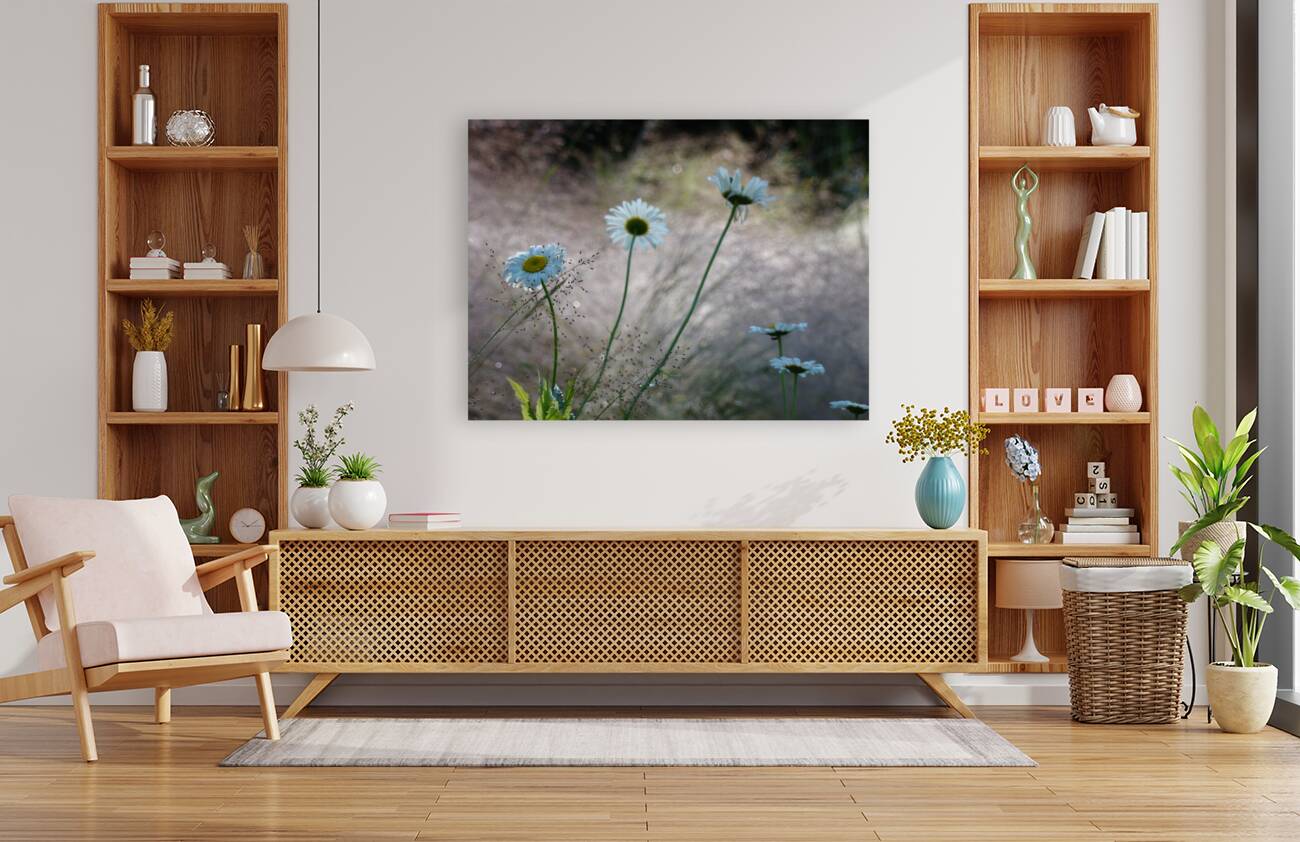 Daisies Reproduction