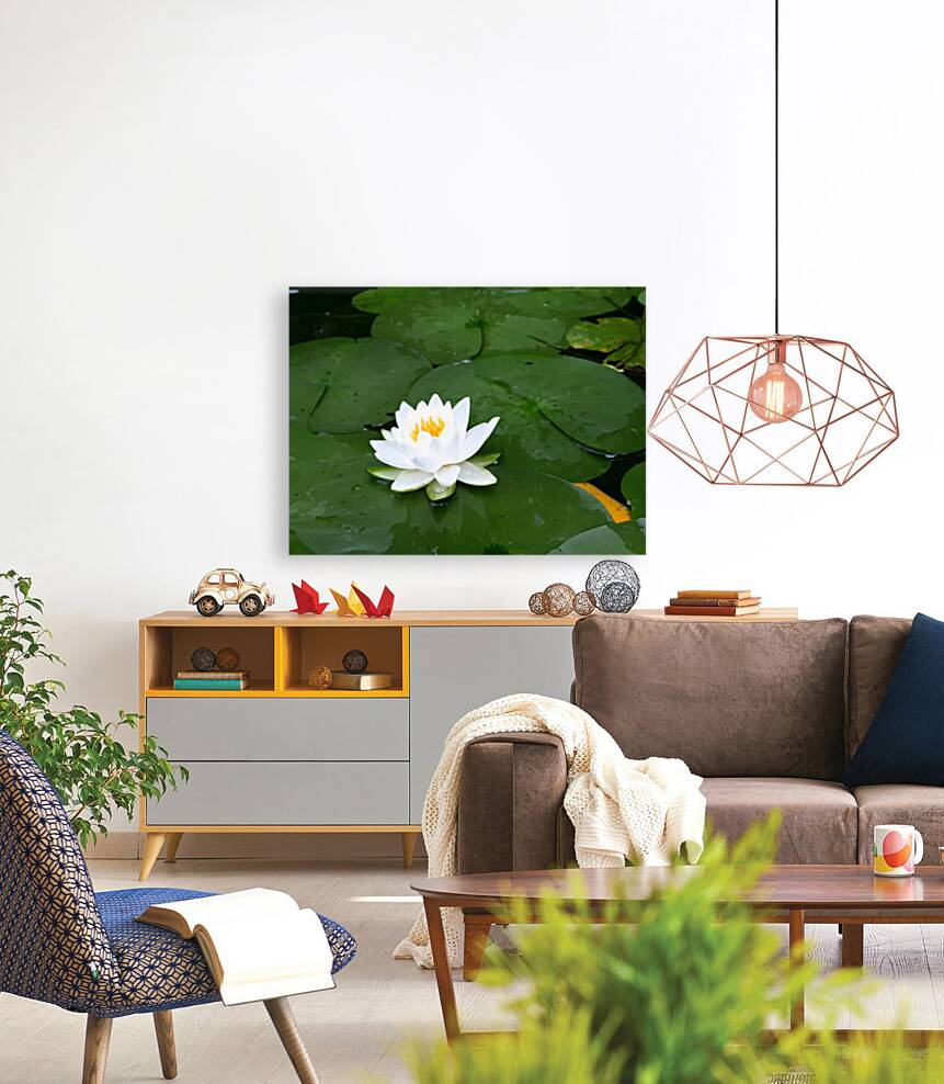 Water Lily 1 Reproduction