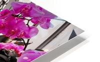 Orchids 2 HD Metal print