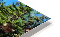 Acadia Wetland HD Metal print