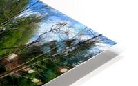 Spring At Clear Shade Creek HD Metal print