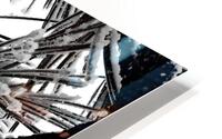 Snowy Conifer HD Metal print