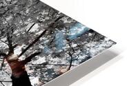 Forest Canopy HD Metal print