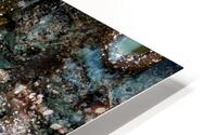 Tidal Pool 5 HD Metal print