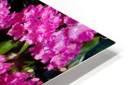 Rhododendron HD Metal print