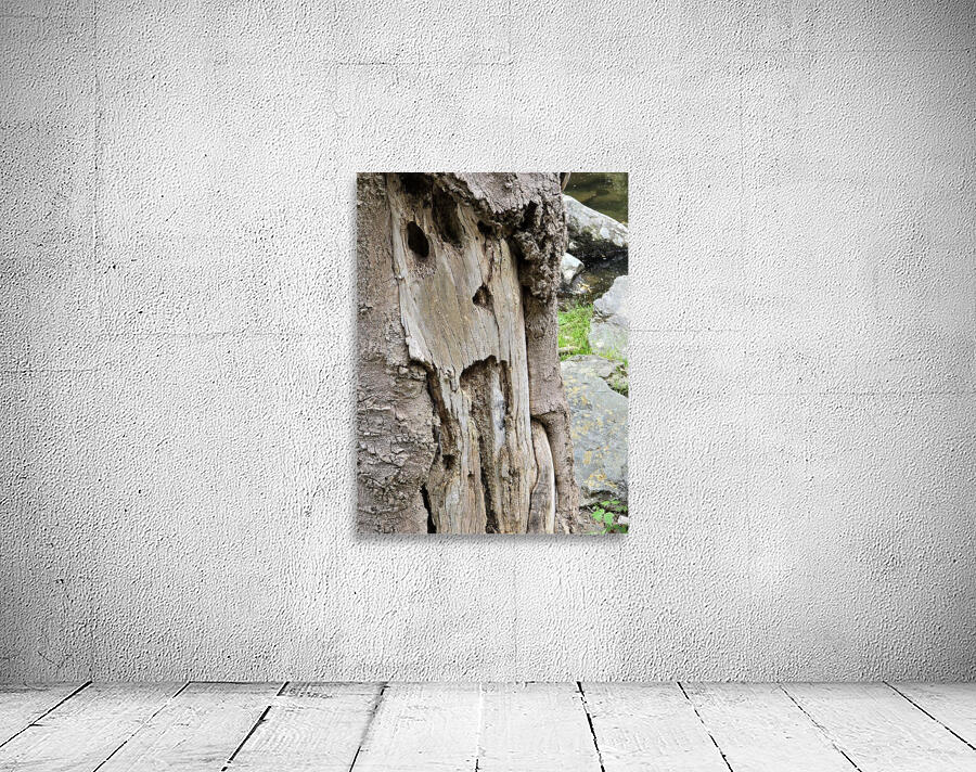 Faces Of The Smokies 4 Wall Preview