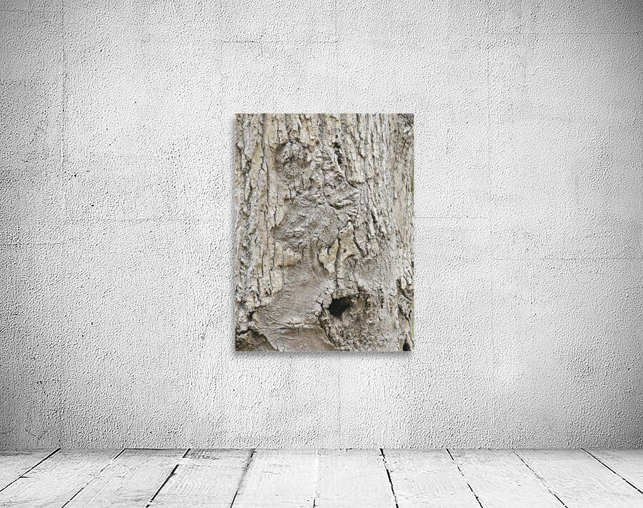 Faces Of The Smokies 3 Wall Preview