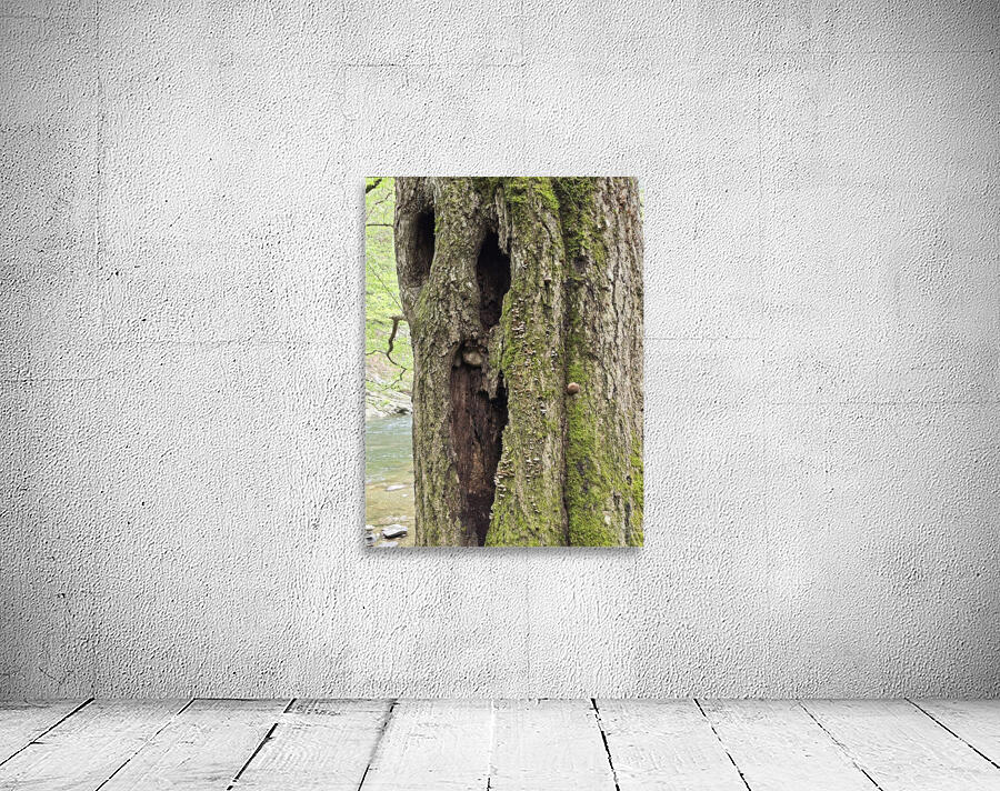 Faces Of The Smokies 2 Wall Preview