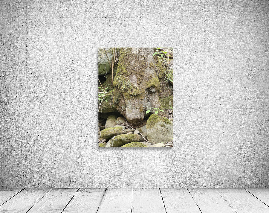 Faces Of The Smokies 1 Wall Preview