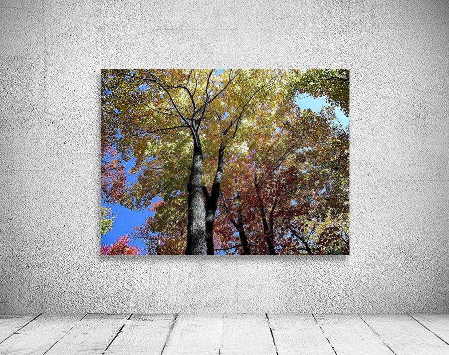 Golden Tree Wall Preview