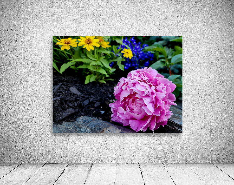 VT Peony 1 Wall Preview